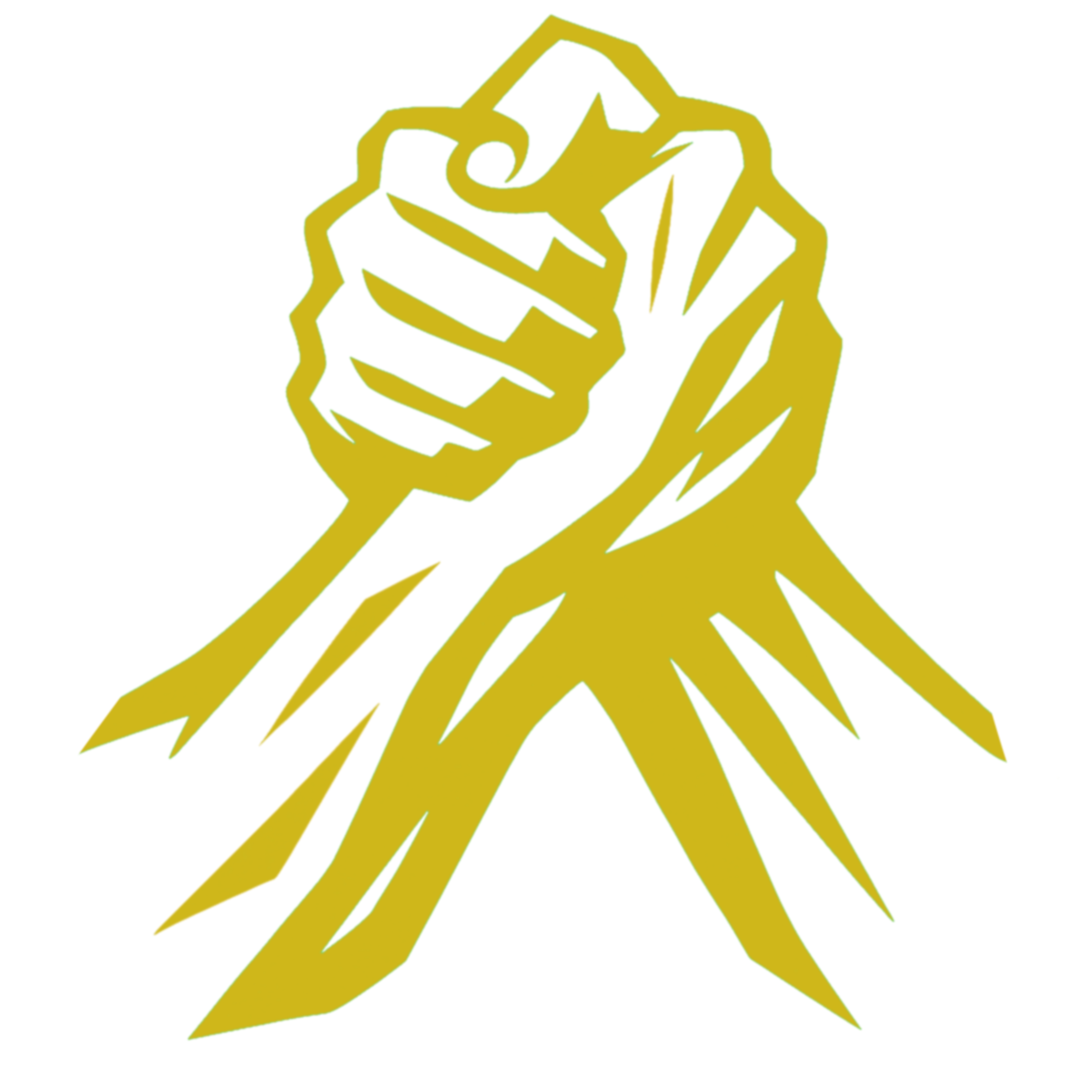 Bands For Brothers CIC mark